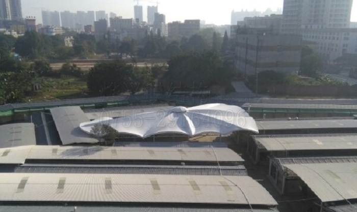 化州商業(yè)街景觀膜結構雨棚.jpg